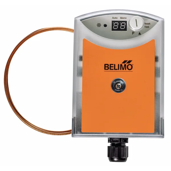 Belimo 20DTS-1P3